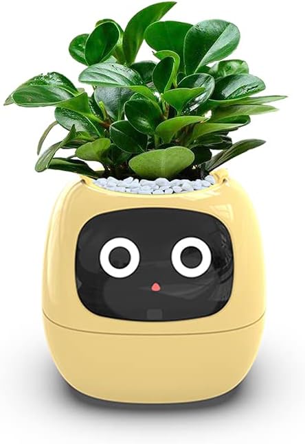 Plantagotchi - Jardinier IA